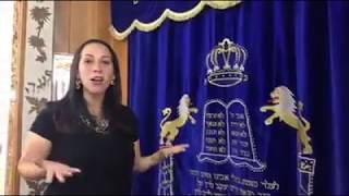 What Is a Synagogue Walk Through an Orthodox Synagogue [upl. by Crispa]