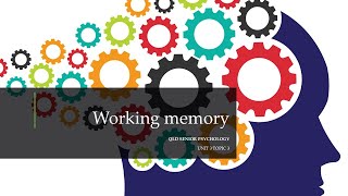 Working Memory [upl. by Aniz]