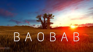 The Majestic Baobab Tree  Learn Facts about Tree and Baobab Fruit [upl. by Afihtan253]