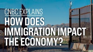 How does immigration impact the economy  CNBC Explains [upl. by Aron]