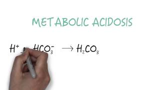 Bicarbonate  The Primary Buffer [upl. by Amaleta]