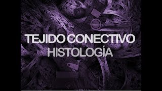 Tejido conectivo  Histología [upl. by Leighton]