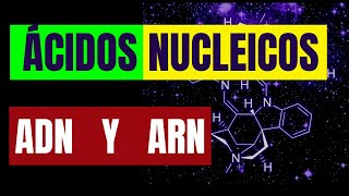 ÁCIDOS NUCLEICOS ADN Y ARN [upl. by Ilona]