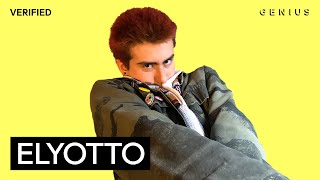 ElyOtto quotSugarCrashquot Official Lyrics amp Meaning  Verified [upl. by Youlton]