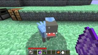 Minecraft Mods  Aether How to Tame a Moa amp Fly it Tutorial [upl. by Mckee859]