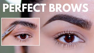 HOW TO GROOM SHAPE amp MAINTAIN EYEBROWS AT HOME BEGINNER FRIENDLY [upl. by Ytsenoh]