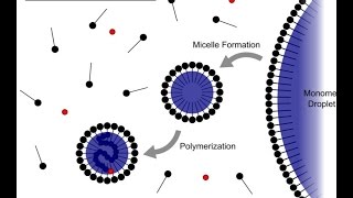 Emulsion Polymerization [upl. by Decato596]