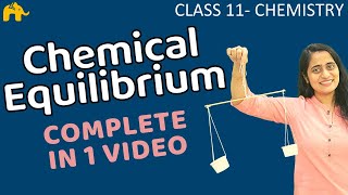 Equilibrium Chemistry Class 11  Chapter 7 Chemical Equilibrium One Shot  CBSE NEET JEE [upl. by Amian]