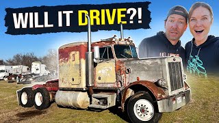 Will it DRIVE Our 1984 359 Peterbilt REVIVAL [upl. by Shiau]