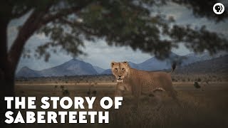 The Story of Saberteeth [upl. by Etneciv]