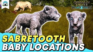 Sabretooth Kitten Map Locations  Baby Animal Location Guide  Conan Exiles Isle of Siptah [upl. by Landes644]