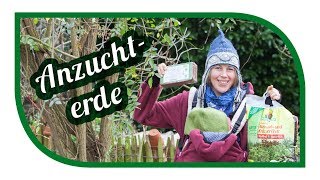 Aussaaterde selber machen 🌱 Jungpflanzenanzucht 🌱 Aussaat Tipps [upl. by Ebbie381]