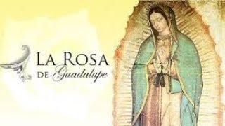 La Rosa de Guadalupe â€¢ 60 cachetadas [upl. by Solitta]