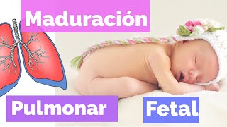 Maduración Pulmonar Fetal [upl. by Thier]