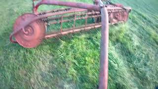 How To Rake Hay For Beginners [upl. by Labannah]