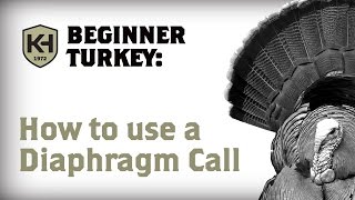 How to use a Diaphragm Mouth Call Turkey Calling Tutorial for Beginners [upl. by Nazay]