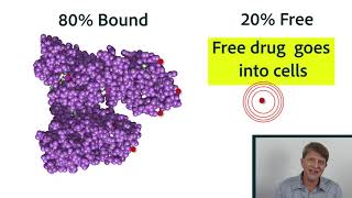 Pharmacokinetics Part 2 Distribution protein binding equilibrium [upl. by Aisek388]