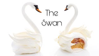 The Swan [upl. by Hoagland]