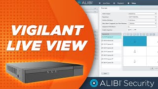 Alibi Vigilant  How To  Live View Settings [upl. by Karsten]