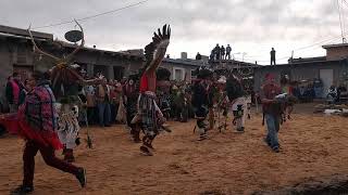 Hopi mixed animal dance 2019 [upl. by Eatnohs]