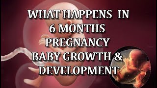 6 Months Pregnant  Pregnancy Symptoms amp Babys Development [upl. by Hirschfeld230]