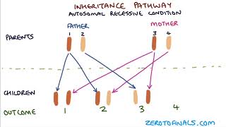 Understanding Autosomal Dominant and Autosomal Recessive Inheritance [upl. by Delija252]