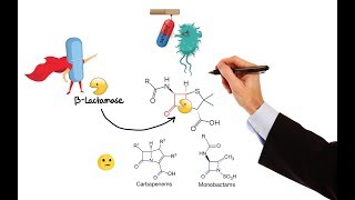 Pharmacology – ANTIBIOTICS – CELL WALL amp MEMBRANE INHIBITORS MADE EASY [upl. by Auqinimod]