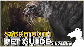 SABRETOOTH  Pets Guide  CONAN EXILES [upl. by Muhcon]