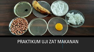 Praktikum Uji Zat Makanan [upl. by Haik]