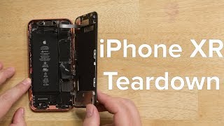 iPhone XR Teardown [upl. by Asamot]