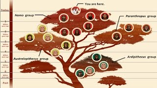 CARTA HumanClimate Interactions and Evolution Past and Future [upl. by Nirret]