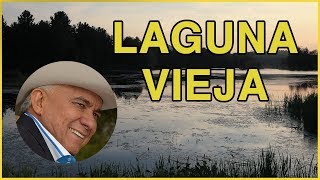 Laguna Vieja  Reynaldo Armas letra HD [upl. by Uta]