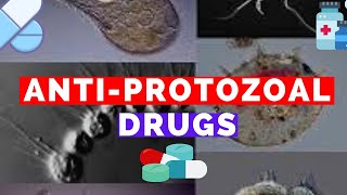 Antiprotozoal Drugs  Metronidazole Bactrim Suramin Pentamidine Eflornithine Fansidar [upl. by Prudi]