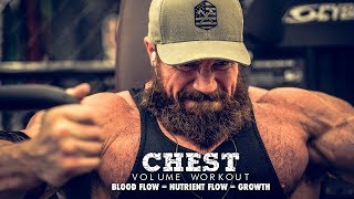 Chest Volume Workout  Seth Sets amp Blood Flow [upl. by Orlando510]