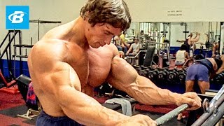 How To Train For Mass  Arnold Schwarzeneggers Blueprint Training Program [upl. by Ardnosak]