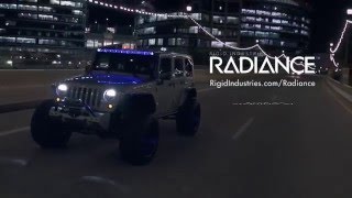 RIGID  Radiance™  LED Light Bar with Backlighting [upl. by Onifled]