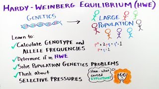 HardyWeinberg Equilibrium  iBiology amp Youreka Science [upl. by Ravel]