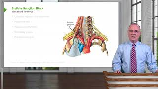 Stellate Ganglion Block – Head amp Neck Anatomy [upl. by Ibba]