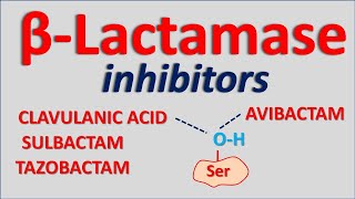 Betalactamase inhibitors [upl. by Erbes]