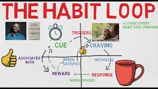 4 stages of The Habit Loop [upl. by Cecile3]