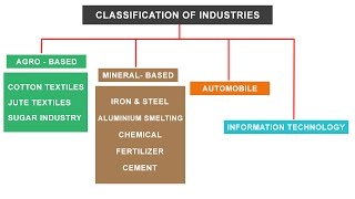 NCERT Class 10  Classification of Industries  Agro Mineral Automobile IT sector [upl. by Gervase]