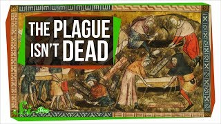 Could the Plague Rise Again [upl. by Juan]