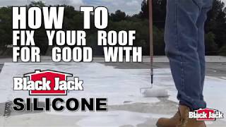 How To Apply Silicone Roof Coatings Using Black Jack® Silicone [upl. by Seward]