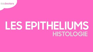 Les épithéliums  Histologie [upl. by Enimasaj538]