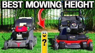 How TALL should you MOW your LAWN Perfect Height [upl. by Aerdied27]