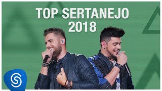 Top Lançamentos Sertanejo 2019  Os Melhores Clipes [upl. by Fitzpatrick]