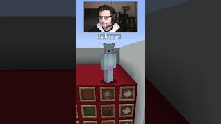 WALLIBEAR TAKES ON MOB ARENA gaming ⁠youtube funny minecraft memes tiktok shorts ytshorts [upl. by Hewes]