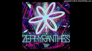 TAG  ZEPHYRANTHES [upl. by Akinna]