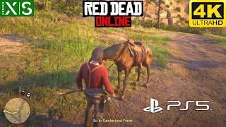 RANKING Every Role Horse From WORST to BEST in Red Dead Online RDR2 Best Horses [upl. by Ful]