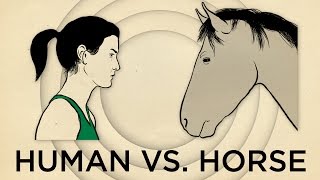 Human Vs Horse Marathon  NPRs SKUNK BEAR [upl. by Jory]